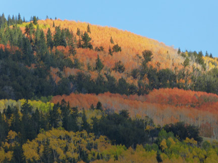 aspens2.jpg aspens2.jpg